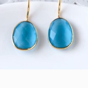 Elegant Blue and Gold Earrings